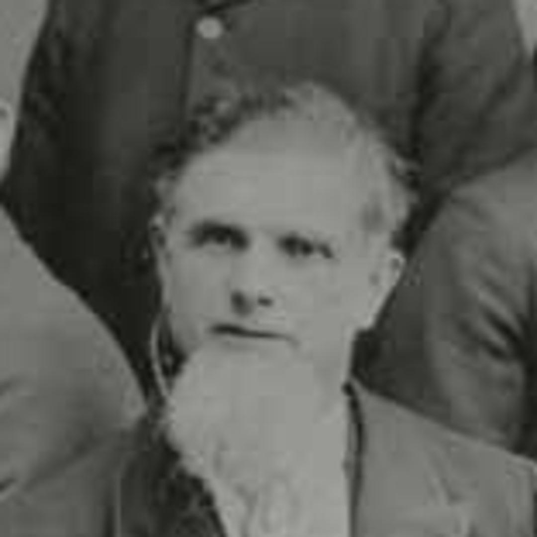 William Davies (1839 - 1932) Profile